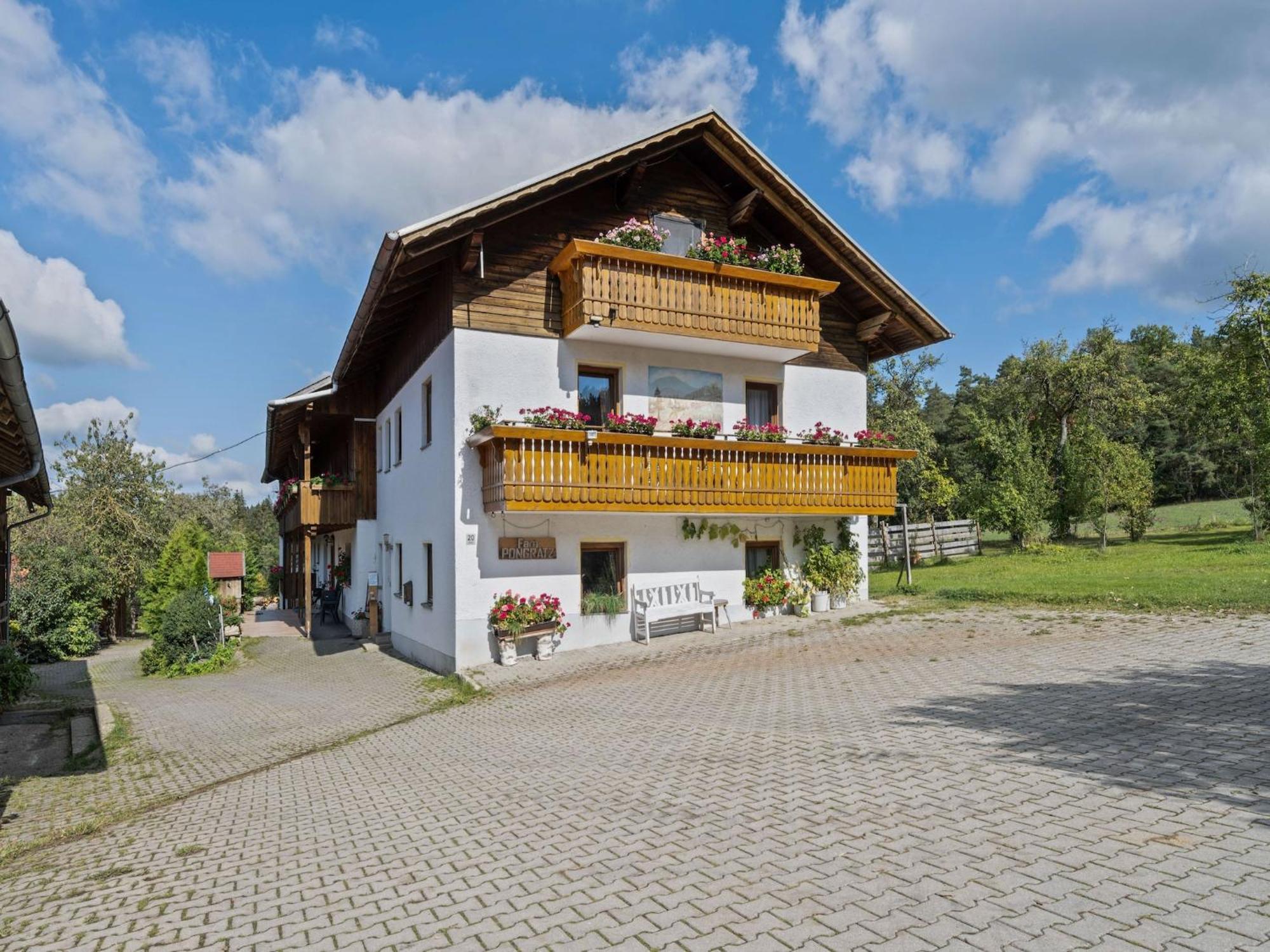 Farmhouse apartment in Neukirchen near Heiligen Blut Neukirchen beim Heiligen Blut Exterior foto